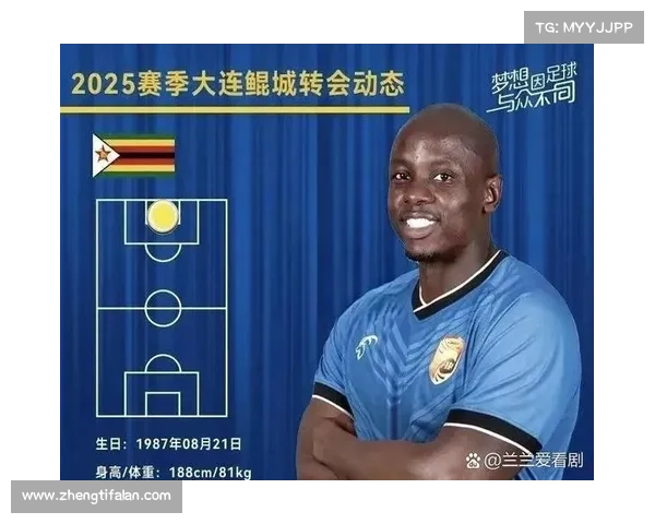 大连鲲城与穆谢奎合作前景分析及未来发展展望